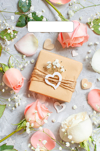 Пакет ПЭ с вырубной неусиленной ручкой 20х30см (х100) 'Подарочек' Тико, ВНР51925