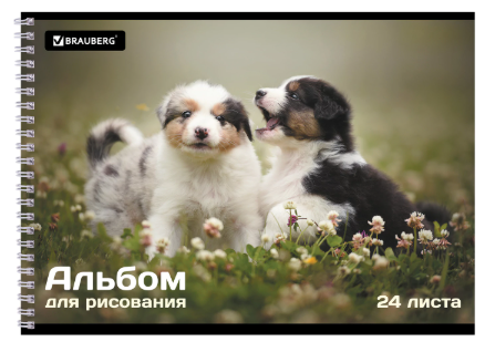 Снимок экрана 2026-08-14 194834