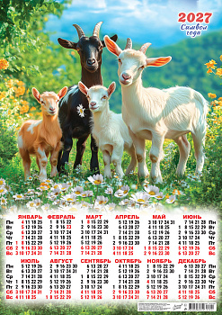 Календарь листовой А2, 2027 год, Символ года. Милые козочки (фото), ПО-27-044