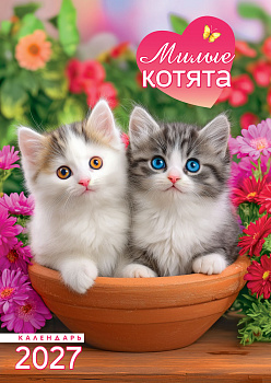 Календарь настенный перекидной на ригеле, 2027 год, 'Милые котята', 480х340 мм, РБ-27-025