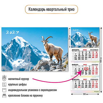 Календарь квартальный трёхблочный с магнитным курсором, 2027, Символ года 2, 300×690 мм., 10387