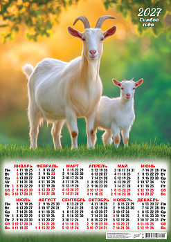 Календарь листовой А2, 2027 год, Символ года. На солнышке (фото), ПО-27-034