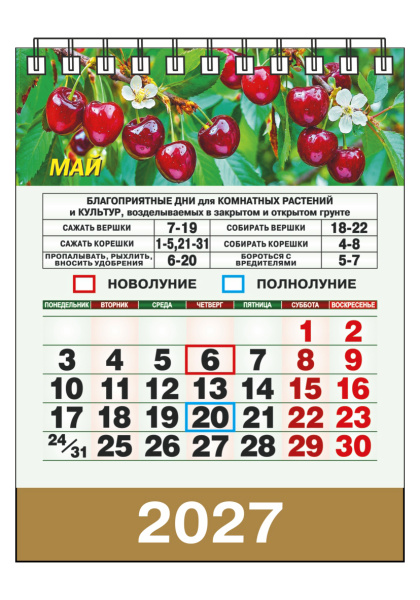 KD-10_1